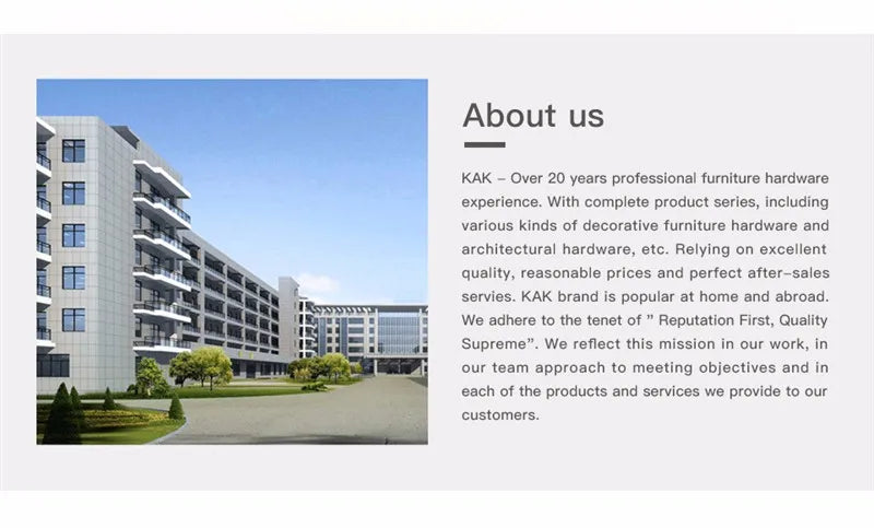 Buy KAK Hinge Repair Kit - Premium Stainless Steel | Only $10.78