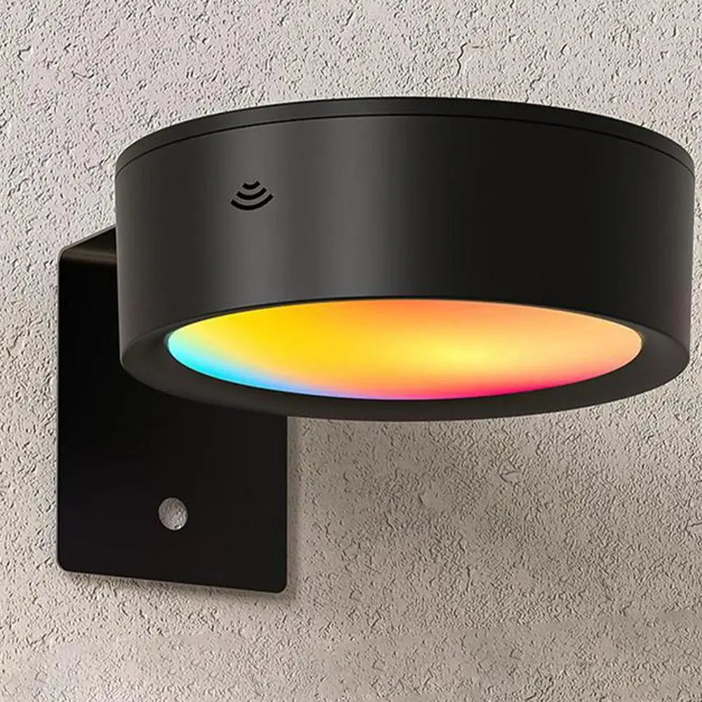 LED Magnetic Wall Sconce Lights Wall Mounted Lamp with Remote Control 13-Color RGB Painting Art Display Light Dimmable