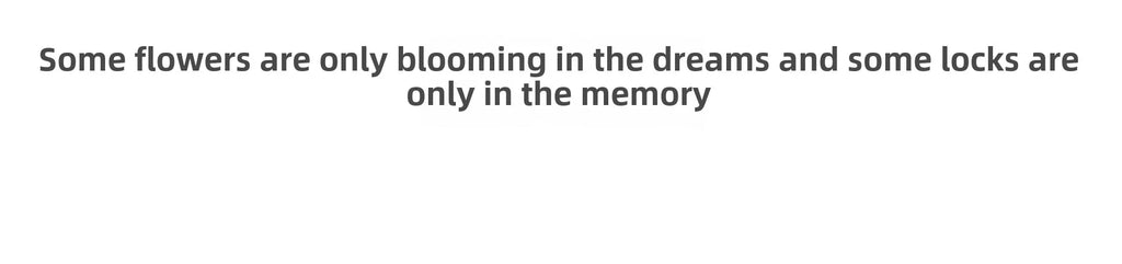 Buy Silent Indoor Door Lock - Save 20% | Free Shipping