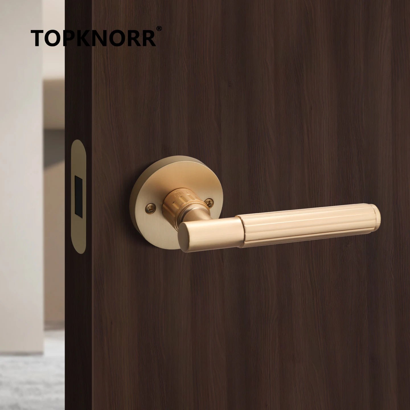 Gold magnetic mute door lock with a modern handle on a dark wooden door, ideal for indoor use.